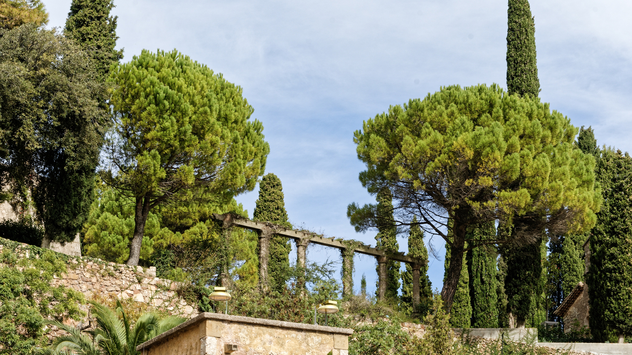 20191029 124304•Collbato•Catalonia•Spain